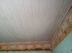 PVC Ceiling