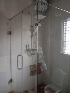 Cubicle toilet shower